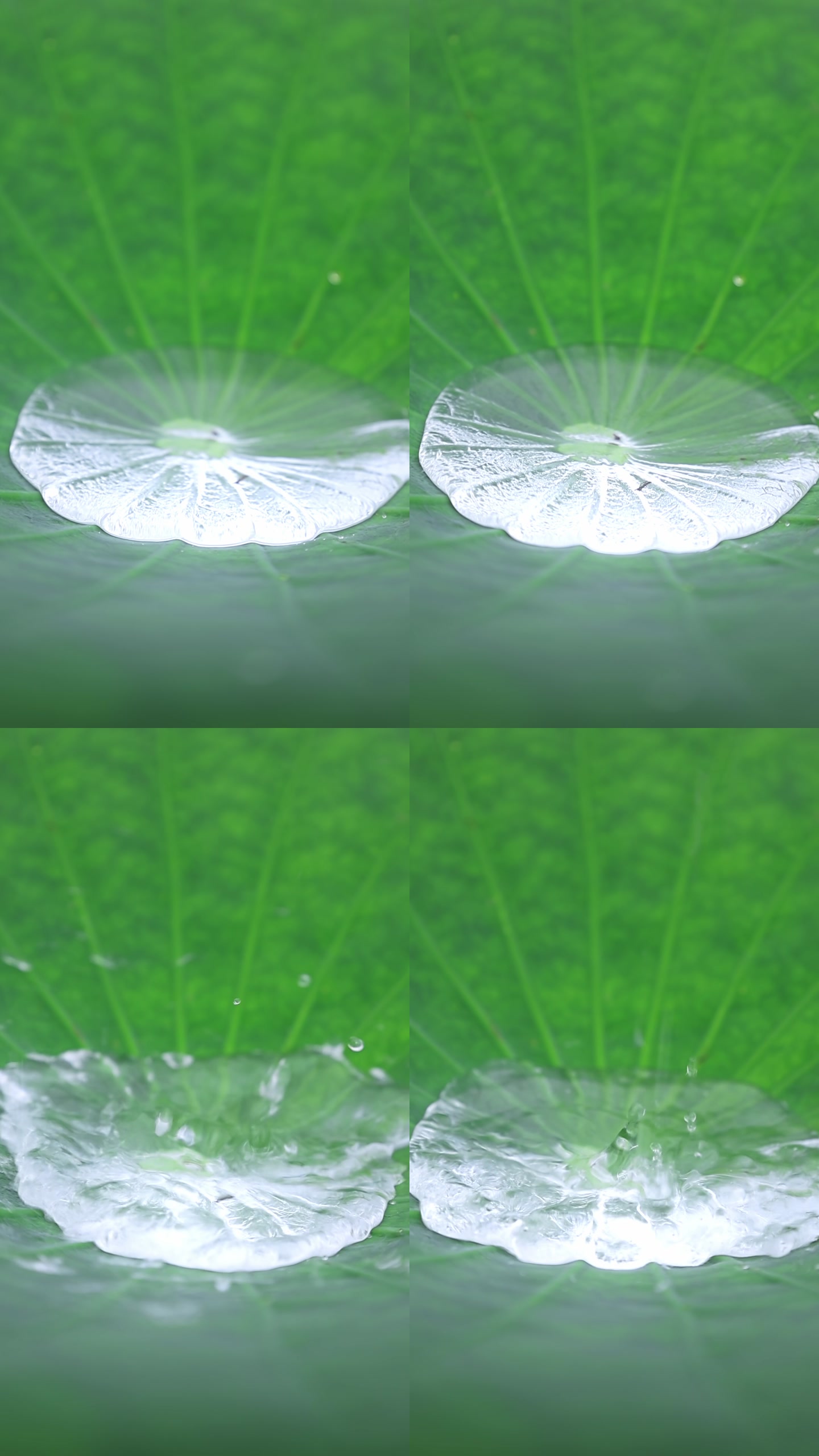 画面截帧