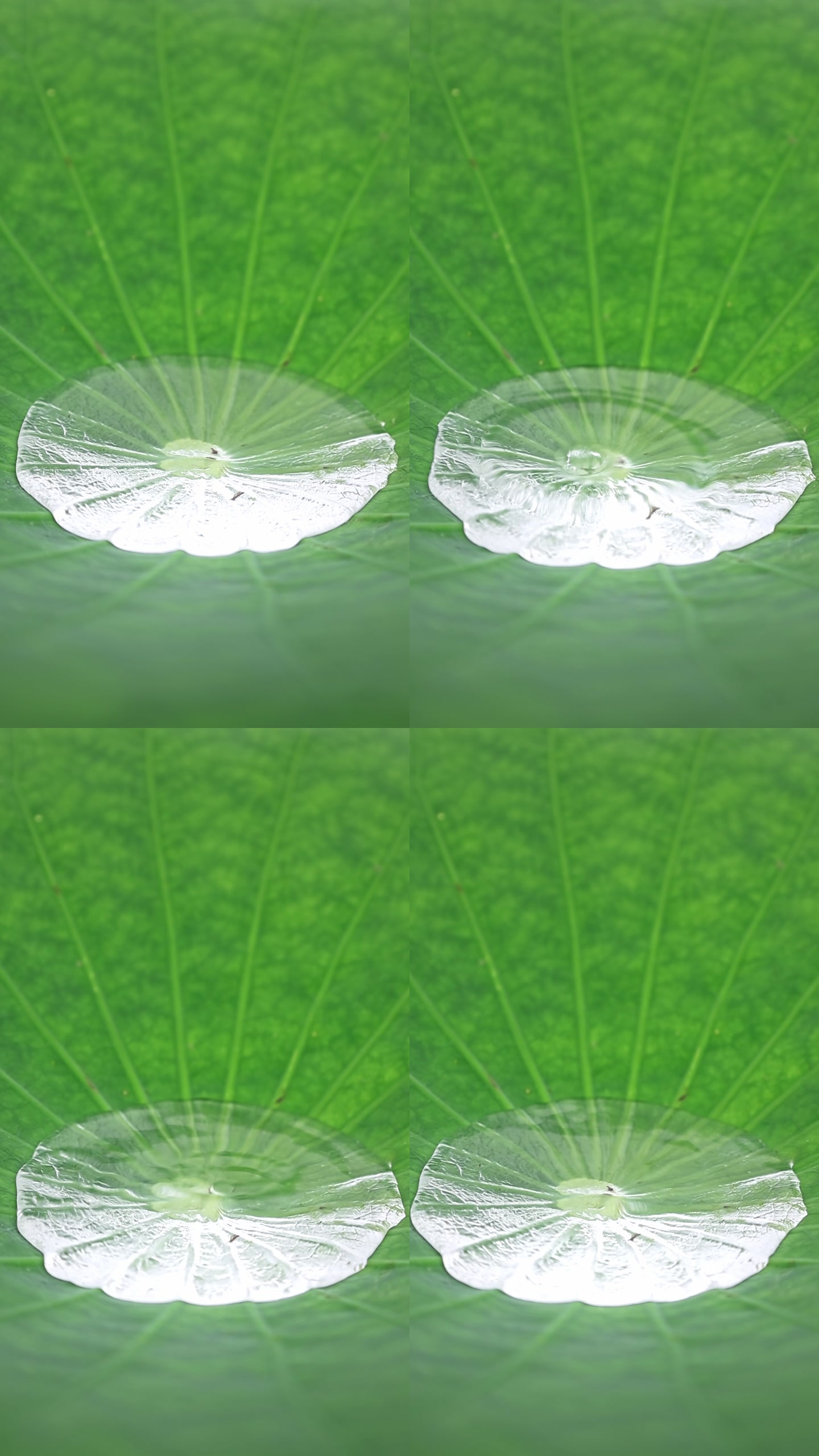 画面截帧