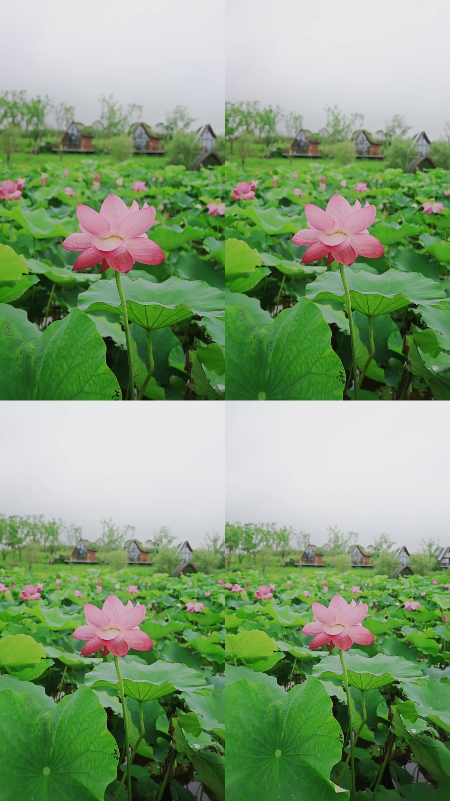 画面截帧