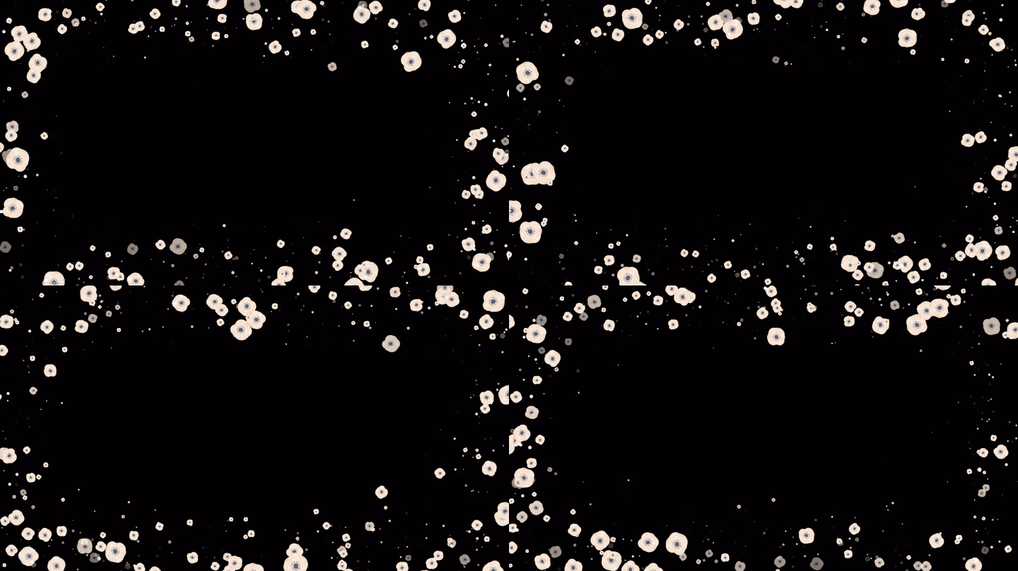 画面截帧