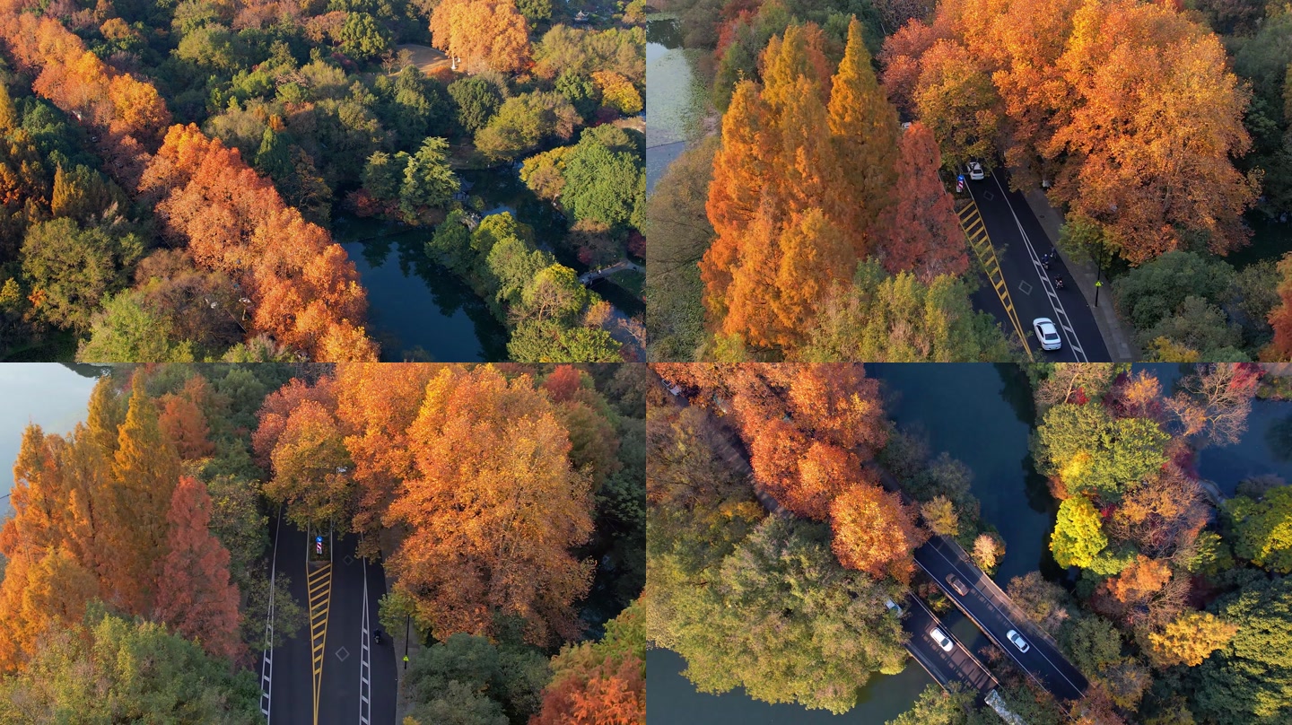 画面截帧