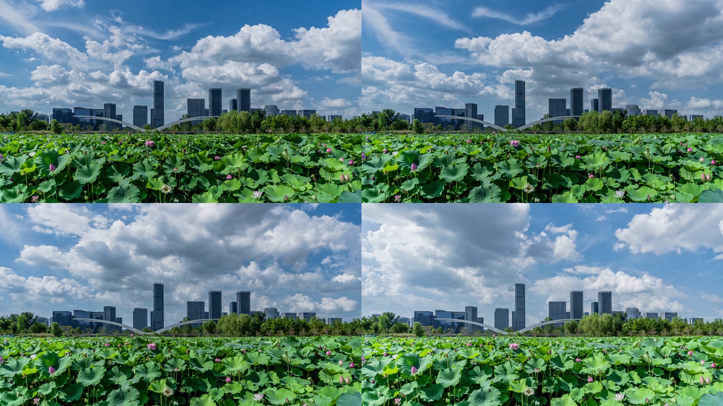 画面截帧